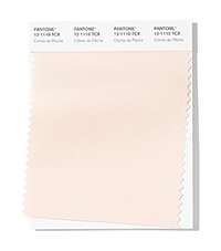 PANTONE 12-1110.jpg